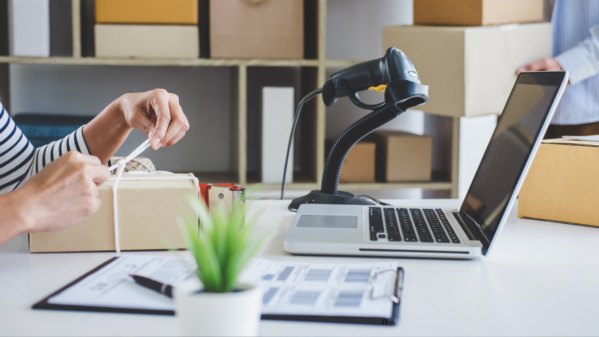 Why Every Small Business Needs A Website in 2025